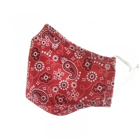 KN95 Adult Washable Cotton Mask - Paisley Pattern (#31 - #40) with 2 Filter